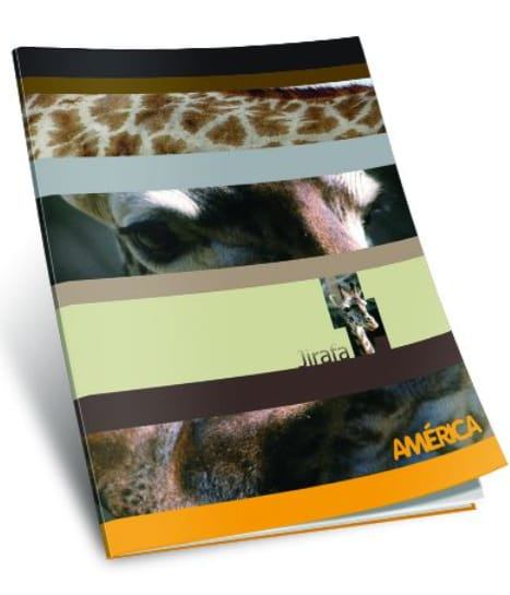 Cuaderno hoja lisa x48 tapa blanda 